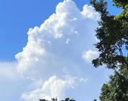 保德天气预报,保德7天天气预报,保德15天天气预报,保德天气查询